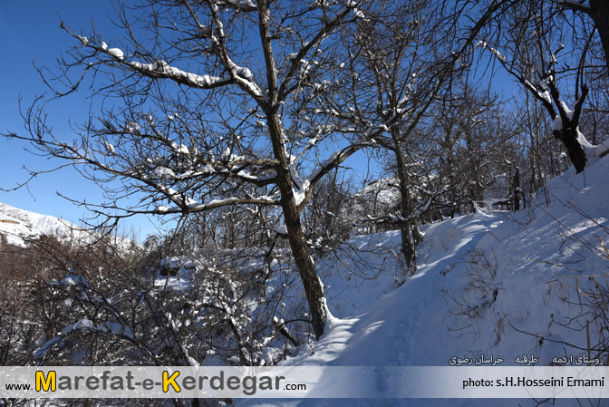 زمستان ایران زمستان ایران