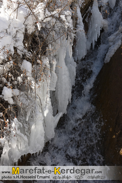قندیل های زمستانی قندیل های زمستانی