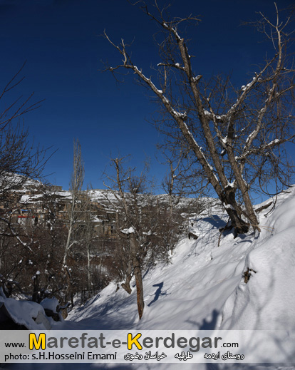 تصاویر زمستانی استان خراسان رضوی تصاویر زمستانی استان خراسان رضوی