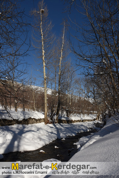 تصاویر زمستانی ایران