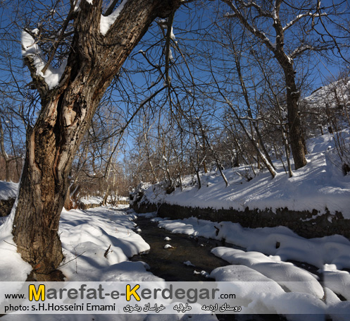 عکاسی از زمستان عکاسی از زمستان