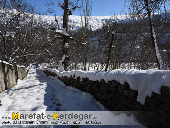 سایت عکاسی سایت عکاسی