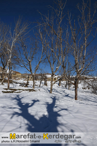 طبیعت زمستانی مشهد