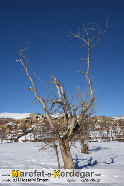 عکس های زمستانی مشهد