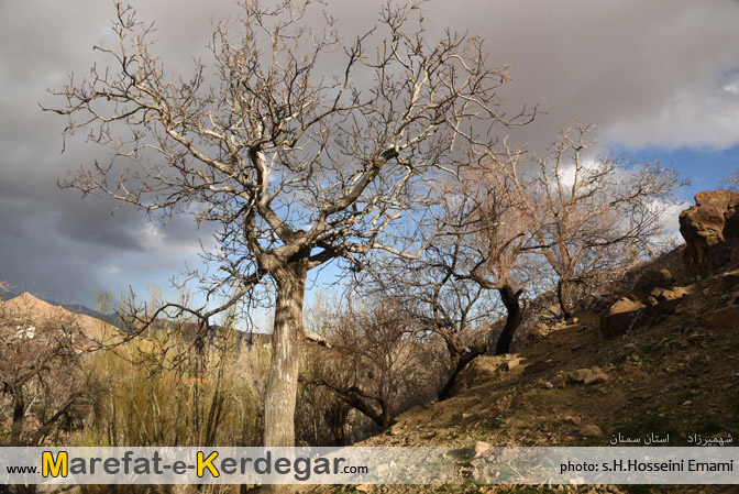 گردشگری شهمیرزاد گردشگری شهمیرزاد