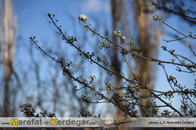 جلوه های طبیعی جلوه های طبیعی