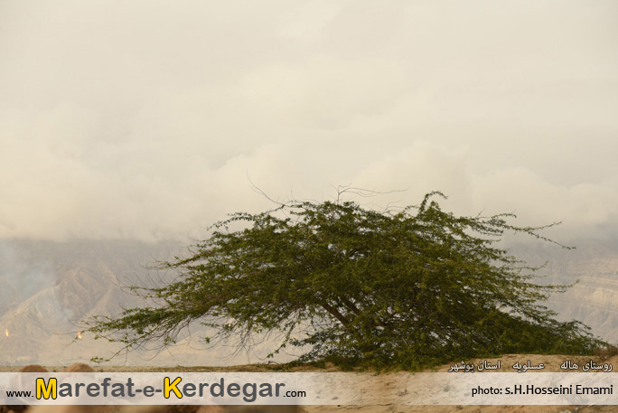 دیدنی های عسلویه دیدنی های عسلویه