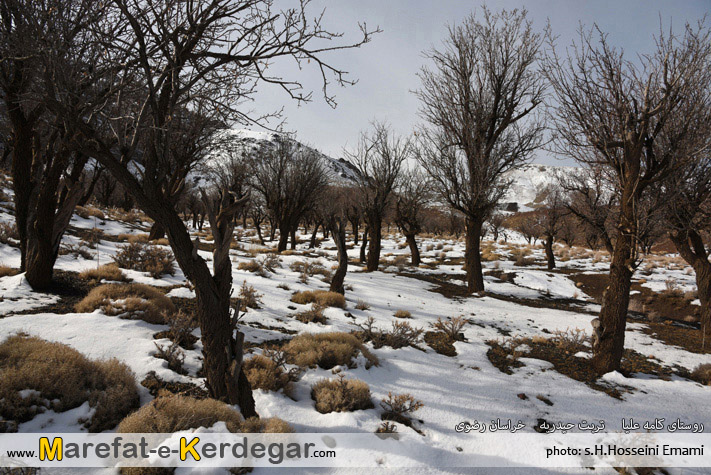 گردشگری تربت حیدریه گردشگری تربت حیدریه
