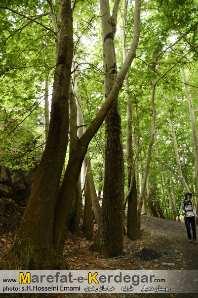 روستای دهبار روستای دهبار