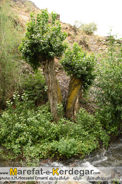 مناطق زیبای مشهد مناطق زیبای مشهد