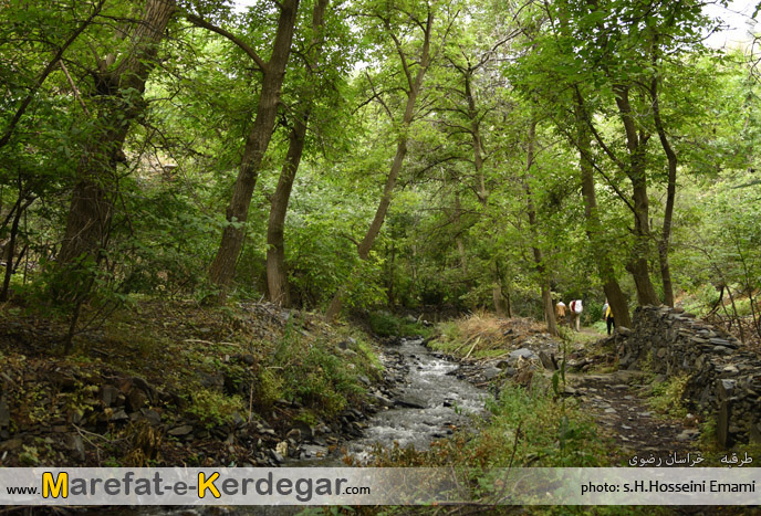 مناطق زیبای طرقبه مناطق زیبای طرقبه
