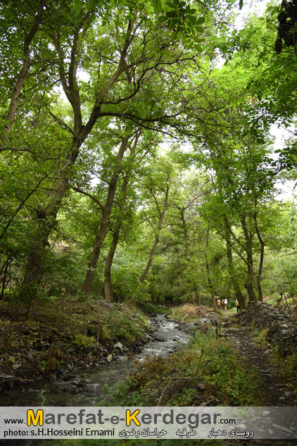 مناطق زیبای ایران