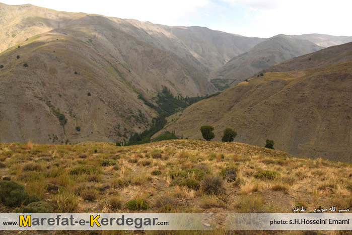 جنگل ارس در رشته کوه بینالود