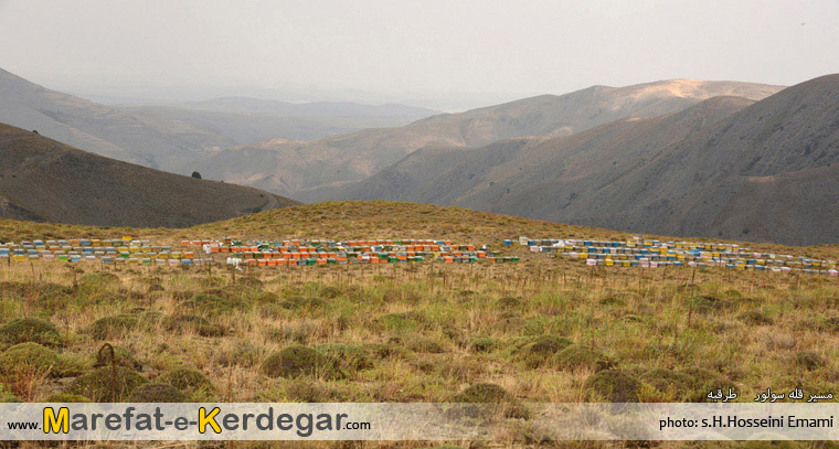 کندوهای زنبور در استان خراسان رضوی کندوهای زنبور در استان خراسان رضوی