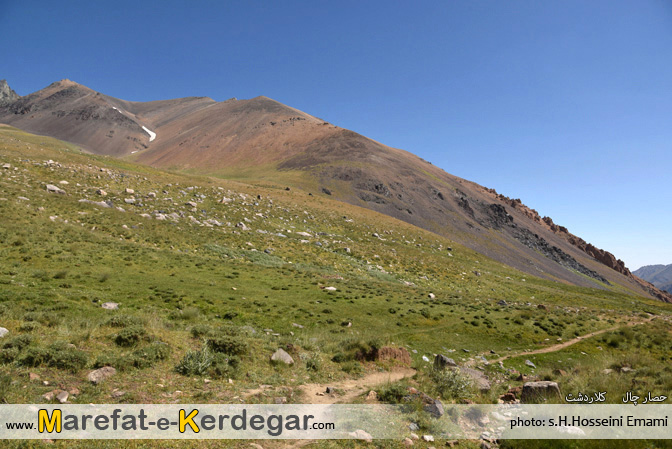 قله زرده گل قله زرده گل