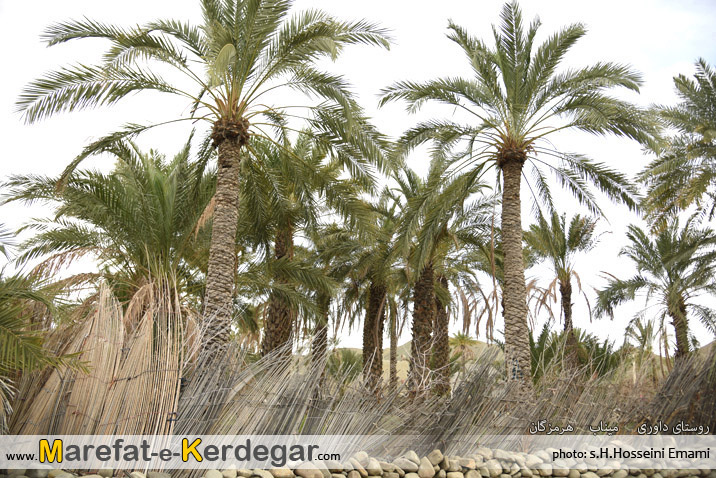 روستای داوری روستای داوری