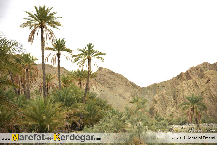 روستای داوری روستای داوری