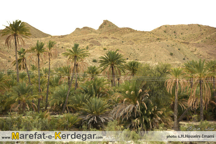 دیدنی های میناب دیدنی های میناب