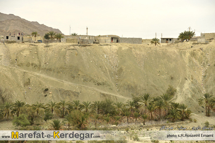 نخلستان های استان هرمزگان نخلستان های استان هرمزگان