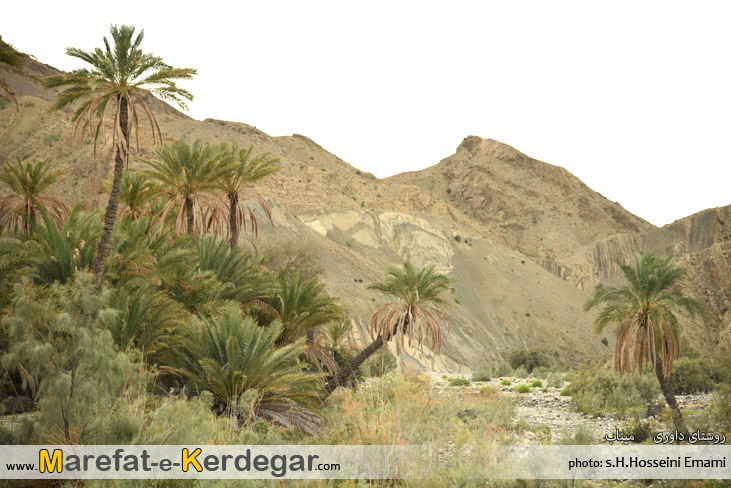 روستای داوری روستای داوری