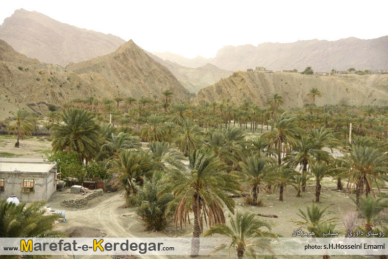 عکاسی در میناب عکاسی در میناب