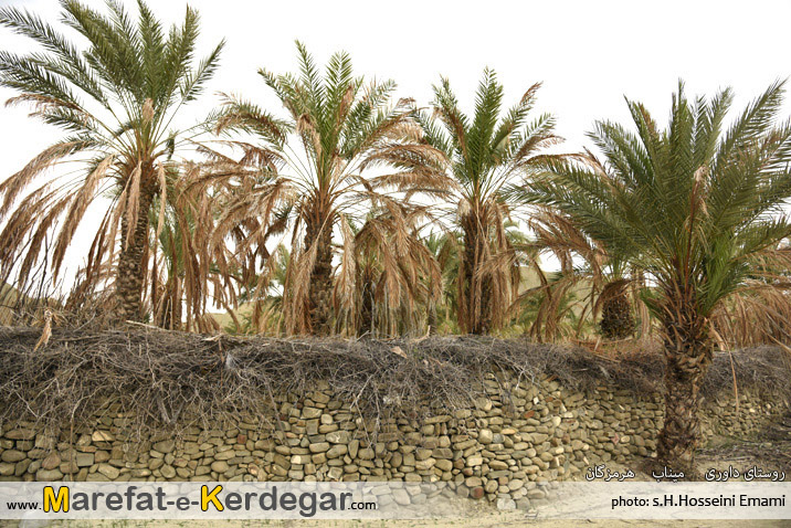 روستاهای جنوب ایران روستاهای جنوب ایران