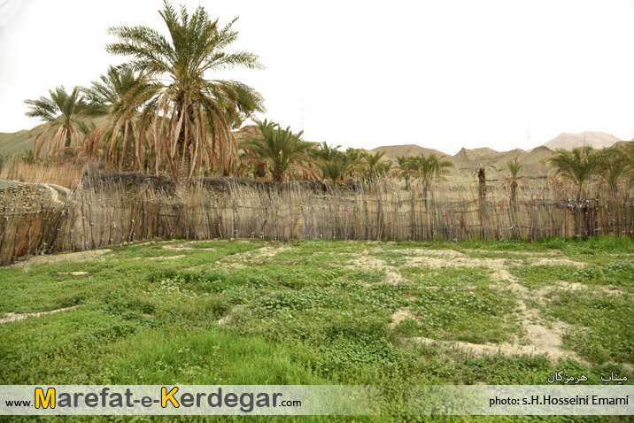 طبیعت جنوب ایران