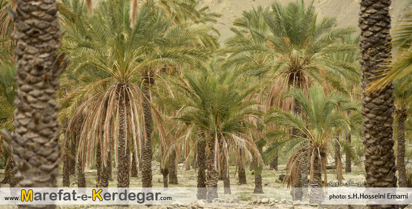 عکاسی از میناب عکاسی از میناب