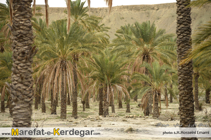 عکاسی میناب عکاسی میناب