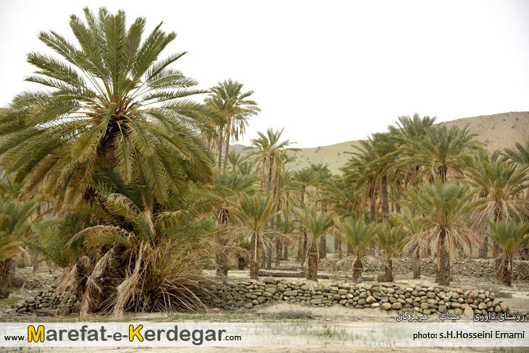 جاهای دیدنی میناب جاهای دیدنی میناب