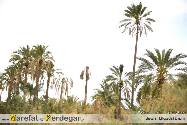 طبیعت میناب طبیعت میناب