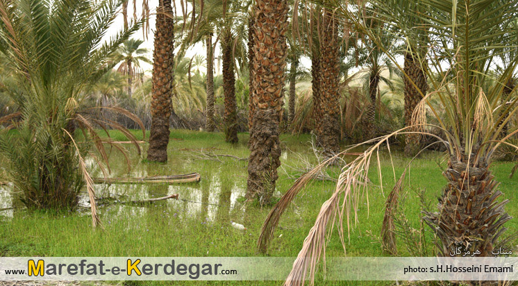 جاذبه های توریستی میناب جاذبه های توریستی میناب