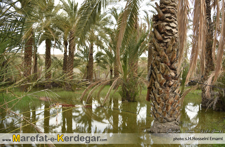 جاذبه های توریستی جنوب ایران جاذبه های توریستی جنوب ایران