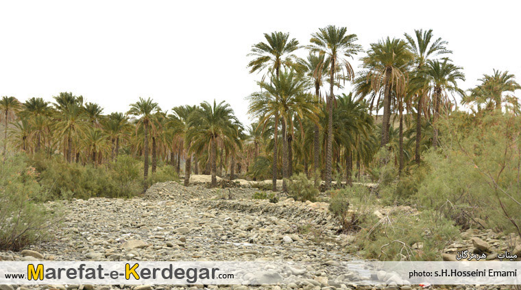 جاذبه های طبیعی میناب جاذبه های طبیعی میناب