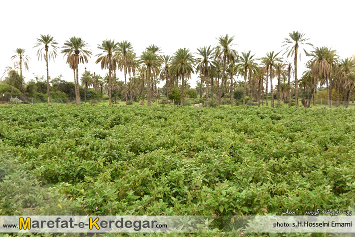 روستای پشته گوربند روستای پشته گوربند