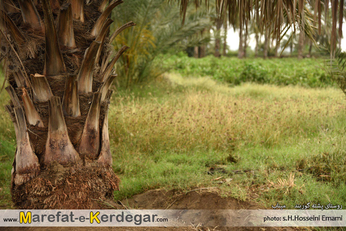 جاذبه های طبیعی میناب جاذبه های طبیعی میناب