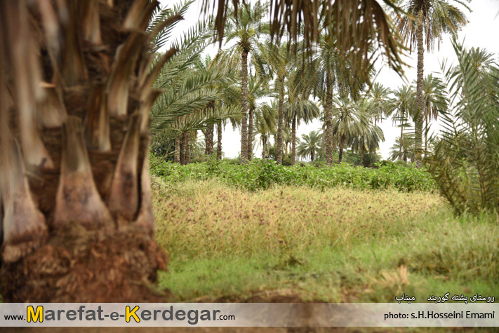 جاذبه های طبیعی میناب جاذبه های طبیعی میناب