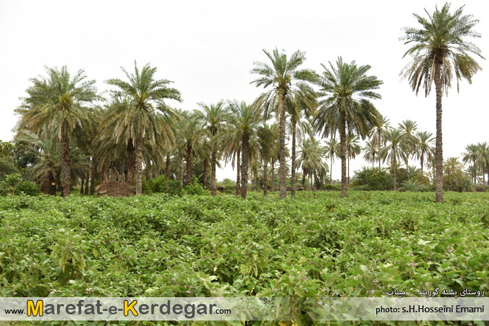 طبیعت میناب طبیعت میناب