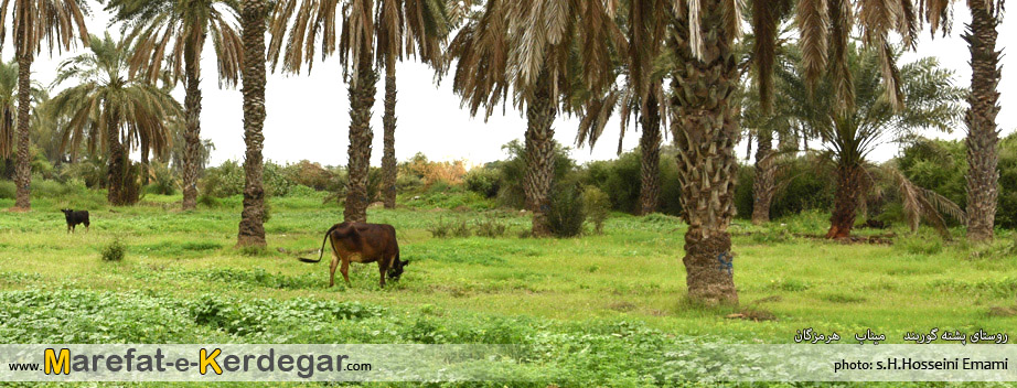 مناظر طبیعی میناب مناظر طبیعی میناب