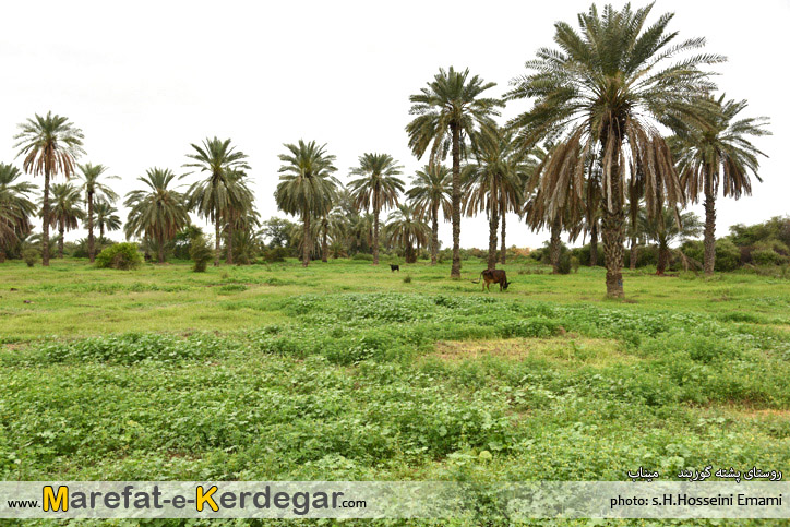 مناظر طبیعی میناب مناظر طبیعی میناب