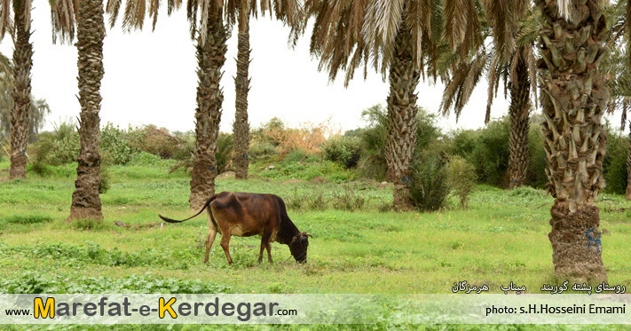 مناظر طبیعی میناب مناظر طبیعی میناب