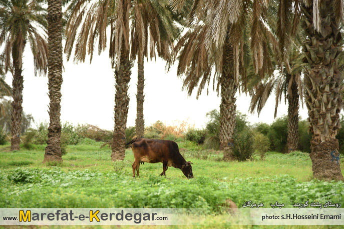 اماکن توریستی میناب اماکن توریستی میناب