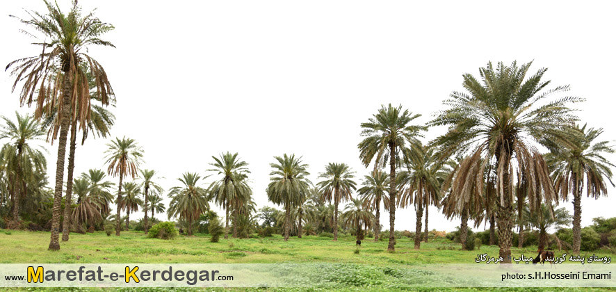 دیدنی های شهرستان میناب دیدنی های شهرستان میناب