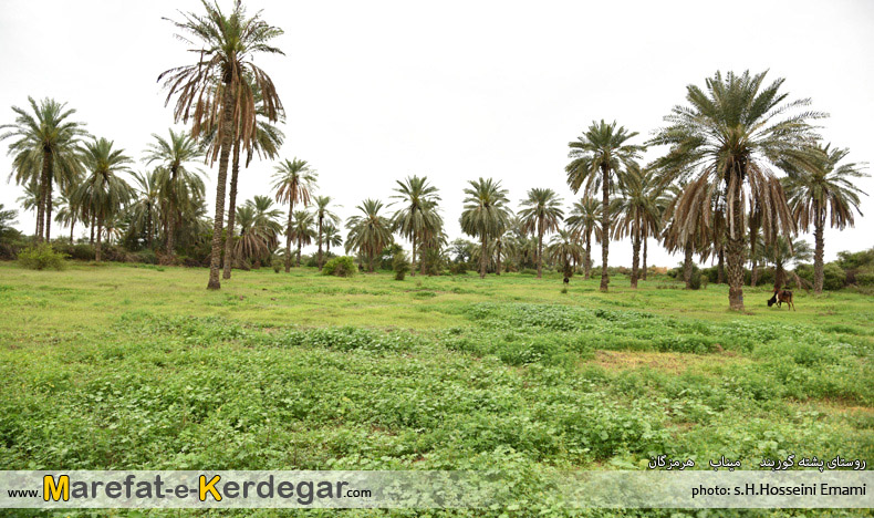 دیدنی های شهرستان میناب دیدنی های شهرستان میناب