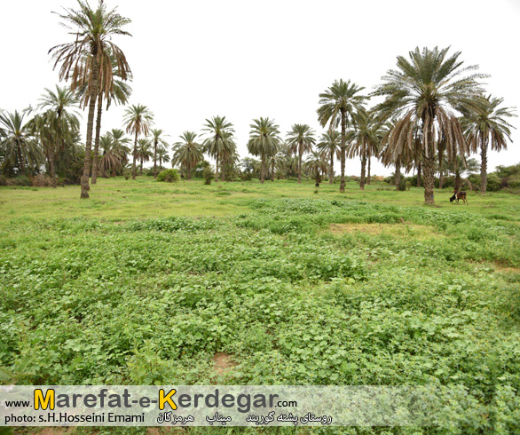 روستاهای میناب روستاهای میناب