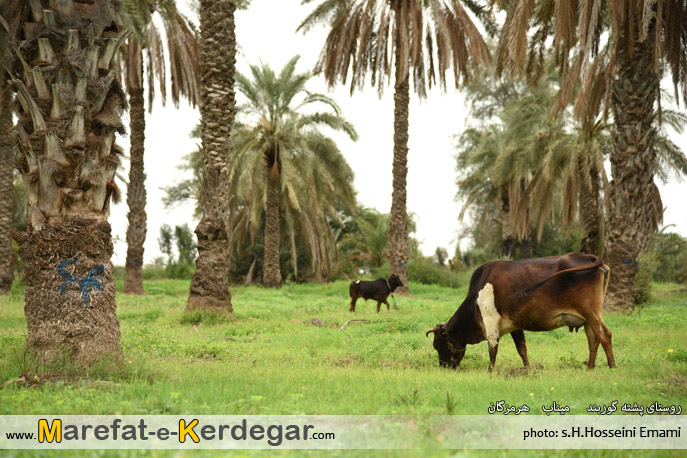 روستاهای میناب