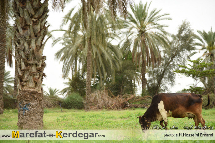 اماکن توریستی میناب اماکن توریستی میناب