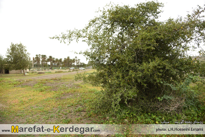 گردشگری میناب گردشگری میناب