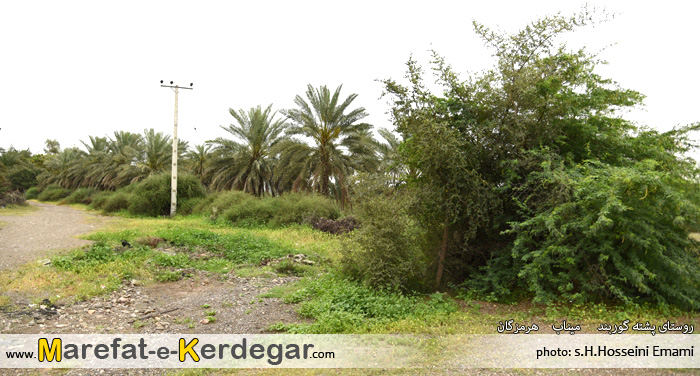 دیدنی های میناب دیدنی های میناب