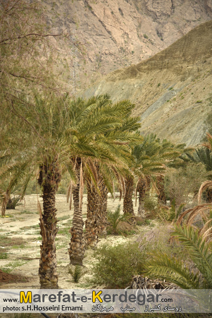 جاذبه های گردشگری استان هرمزگان جاذبه های گردشگری استان هرمزگان